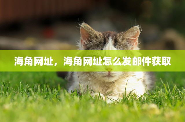 海角网址，海角网址怎么发邮件获取