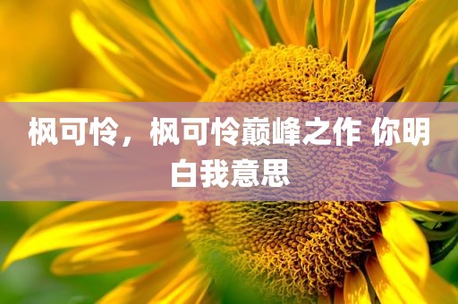 枫可怜，枫可怜巅峰之作 你明白我意思
