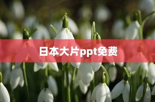 日本大片ppt免费