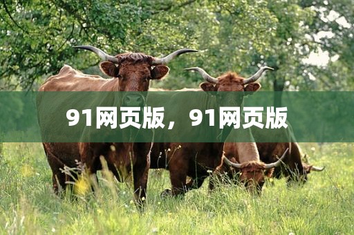 91网页版，91网页版