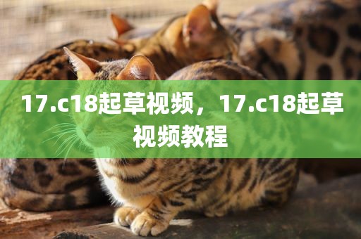17.c18起草视频，17.c18起草视频教程