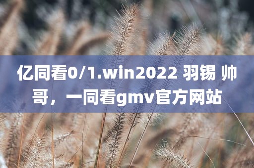 亿同看0/1.win2022 羽锡 帅哥，一同看gmv官方网站