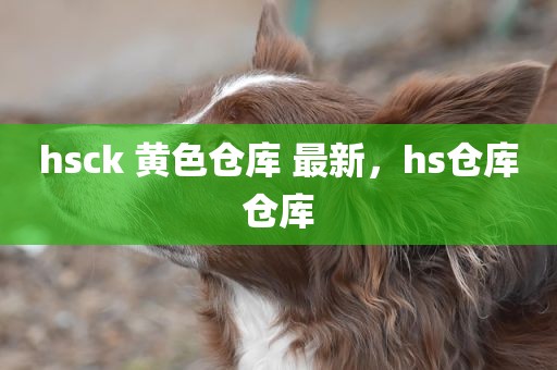 hsck 黄色仓库 最新，hs仓库仓库
