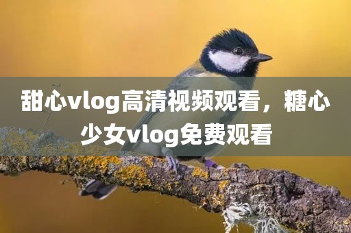 甜心vlog高清视频观看，糖心少女vlog免费观看