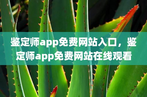 鉴定师app免费网站入口，鉴定师app免费网站在线观看