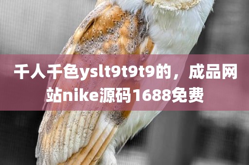 千人千色yslt9t9t9的，成品网站nike源码1688免费