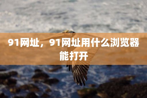 91网址，91网址用什么浏览器能打开