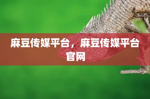 麻豆传媒平台，麻豆传媒平台官网