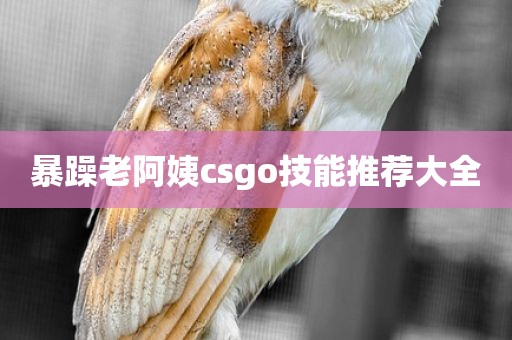 暴躁老阿姨csgo技能推荐大全