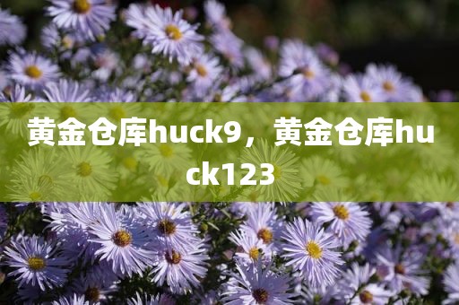 黄金仓库huck9，黄金仓库huck123