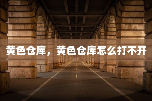 黄色仓库，黄色仓库怎么打不开