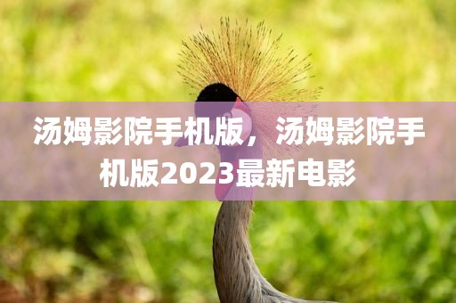 汤姆影院手机版，汤姆影院手机版2023最新电影