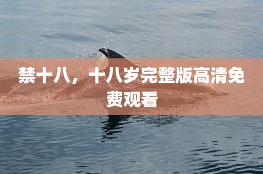 禁十八，十八岁完整版高清免费观看