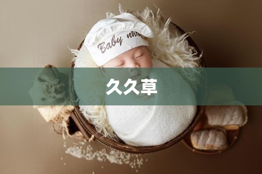 久久草