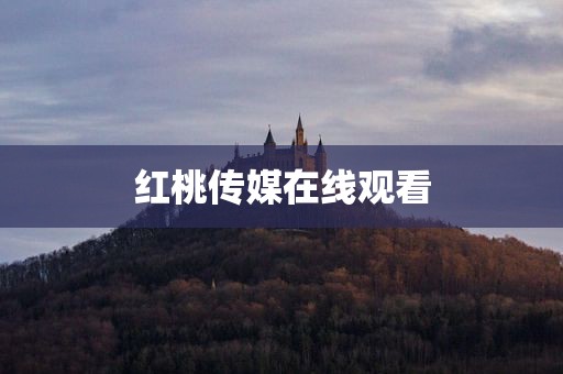 红桃传媒在线观看