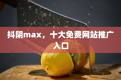 抖阴max，十大免费网站推广入口