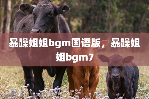 暴躁姐姐bgm国语版，暴躁姐姐bgm7