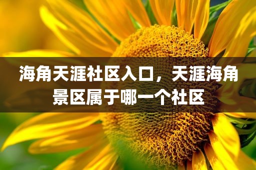 海角天涯社区入口，天涯海角景区属于哪一个社区