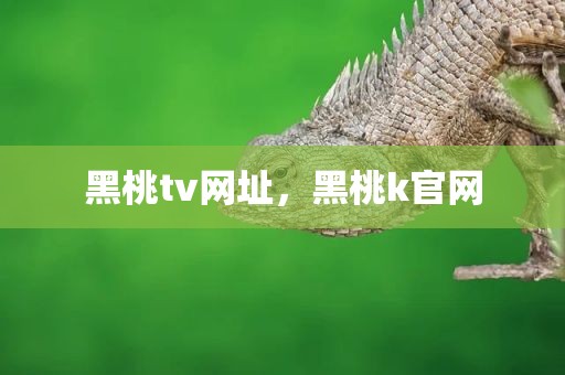 黑桃tv网址，黑桃k官网