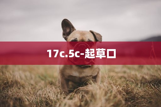 17c.5c-起草口