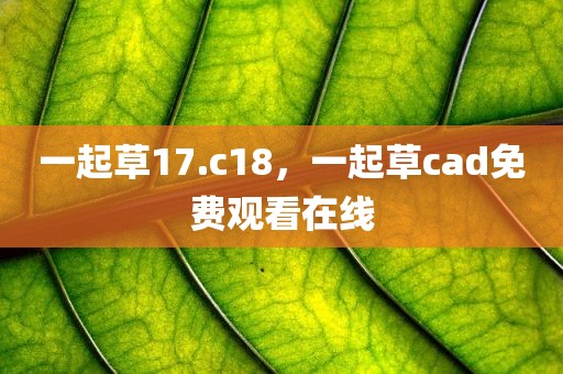 一起草17.c18，一起草cad免费观看在线