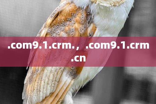 .com9.1.crm.，.com9.1.crm.cn