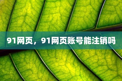 91网页，91网页账号能注销吗