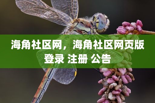 海角社区网，海角社区网页版登录 注册 公告
