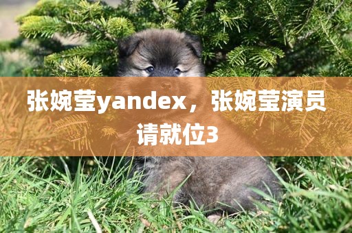 张婉莹yandex，张婉莹演员请就位3
