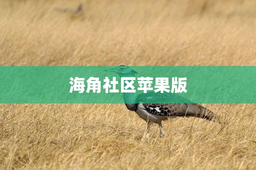 海角社区苹果版