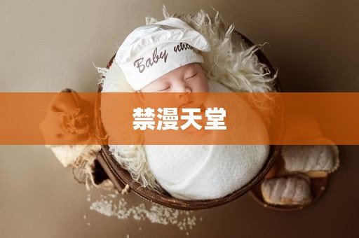 禁漫天堂