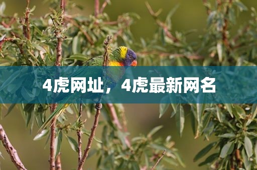 4虎网址，4虎最新网名