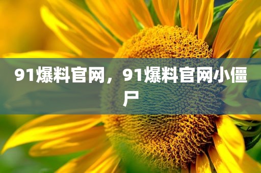 91爆料官网，91爆料官网小僵尸