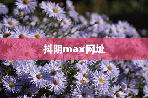 抖阴max网址