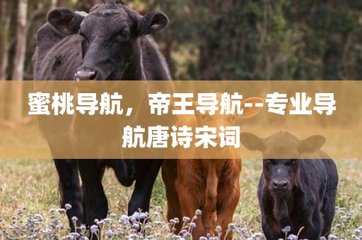 蜜桃导航，帝王导航--专业导航唐诗宋词