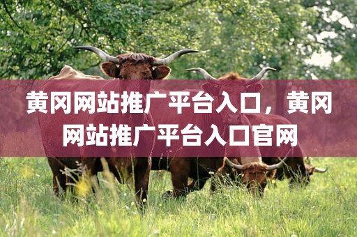 黄冈网站推广平台入口，黄冈网站推广平台入口官网