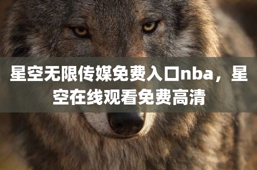 星空无限传媒免费入口nba，星空在线观看免费高清