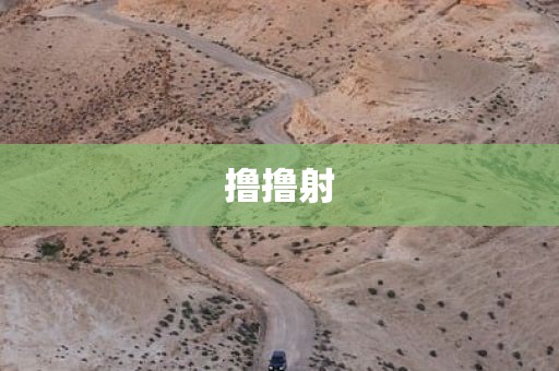 撸撸射