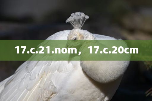 17.c.21.nom，17.c.20cm