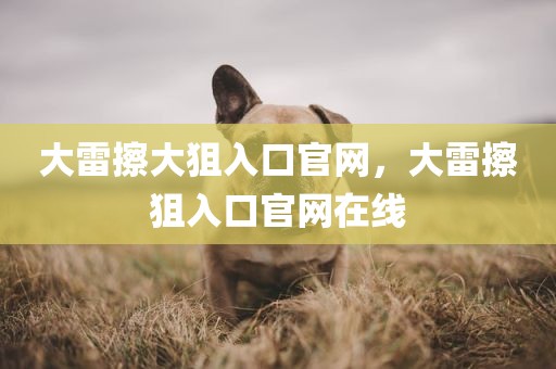 大雷擦大狙入口官网，大雷擦狙入口官网在线