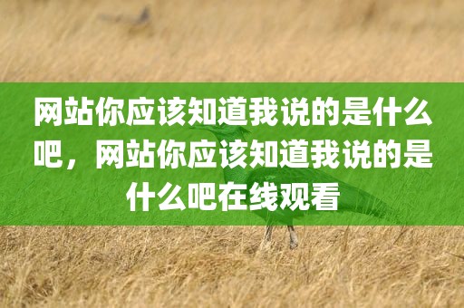 网站你应该知道我说的是什么吧，网站你应该知道我说的是什么吧在线观看