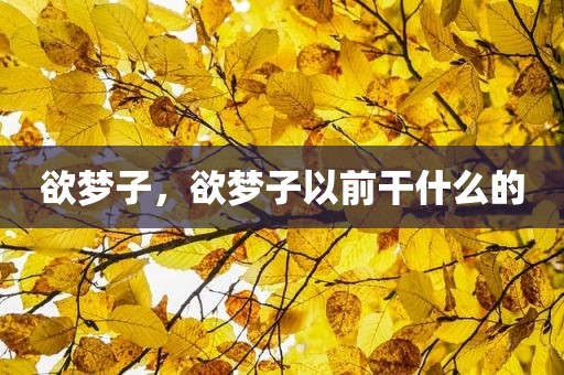 欲梦子，欲梦子以前干什么的