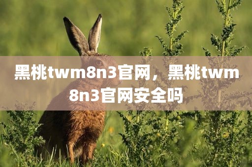 黑桃twm8n3官网，黑桃twm8n3官网安全吗