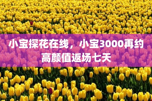 小宝探花在线，小宝3000再约高颜值返场七天