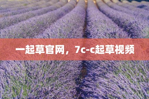 一起草官网，7c-c起草视频