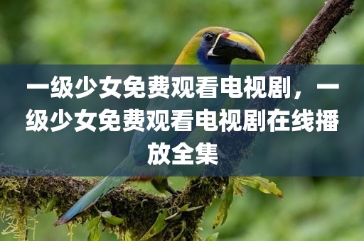 一级少女免费观看电视剧，一级少女免费观看电视剧在线播放全集