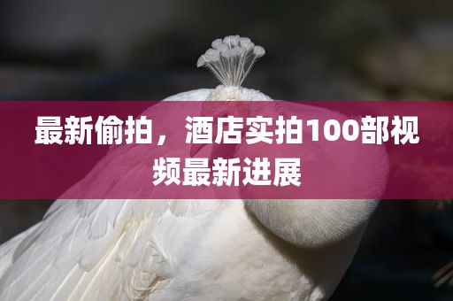 最新偷拍，酒店实拍100部视频最新进展