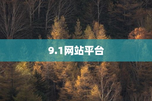 9.1网站平台