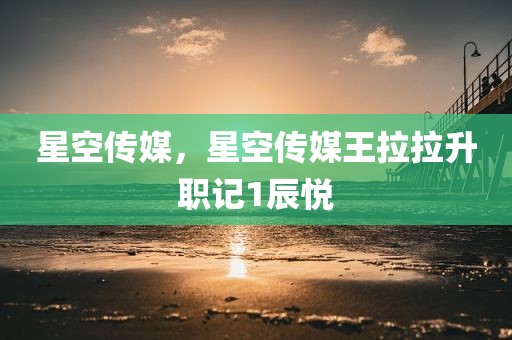 星空传媒，星空传媒王拉拉升职记1辰悦