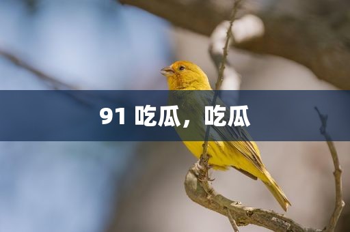 91 吃瓜，吃瓜